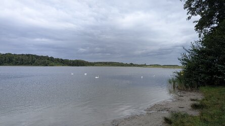 PXL_20250916_124455290.jpg