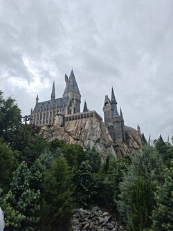 1000052181.jpg