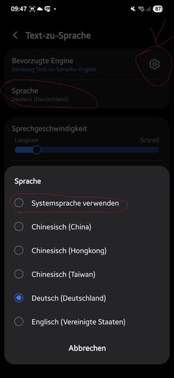 WhatsApp Bild 2025-09-17 um 09.48.05_bc59aff2X.jpg
