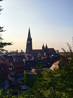 IMG_20250810_193403.jpg