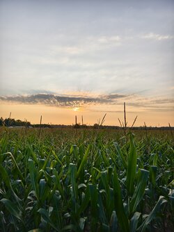 IMG_20250810_200437.jpg