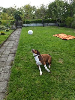IMG_20250914_162146.jpg