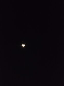20250918_055456324.JPG