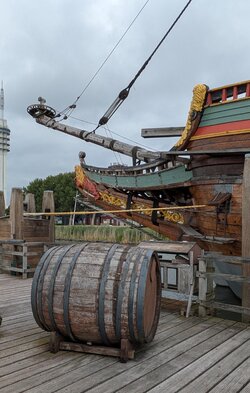PXL_20250717_110213870.jpg