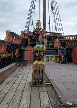PXL_20250717_110747845.jpg