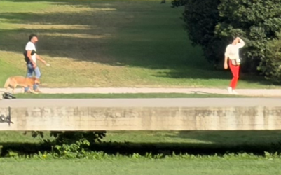 1758184347715.png
