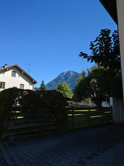20250918_142042639.JPG
