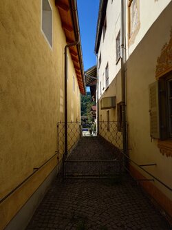 20250918_134221823.JPG