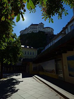 20250918_145619598.JPG