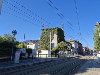 IMG_20250918_161930653.jpg