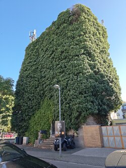 IMG_20250918_162109280.jpg