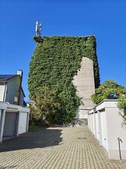 IMG_20250918_162201881_HDR.jpg