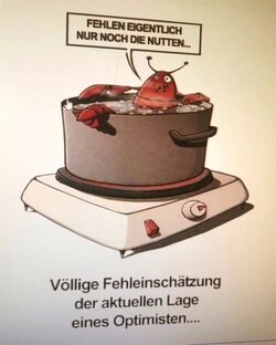 IMG_0701.jpeg