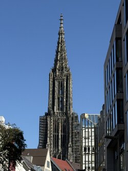 IMG_3218.jpeg