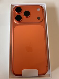 IMG_3629.jpeg