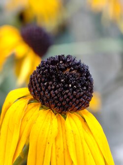 IMG_20250919_174501838.jpg