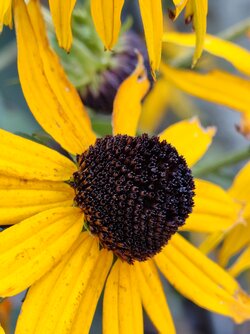 IMG_20250919_174456239.jpg