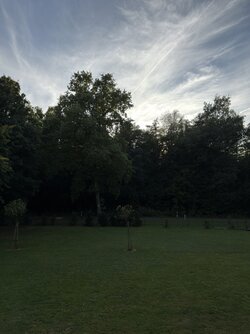 IMG_5675.jpeg