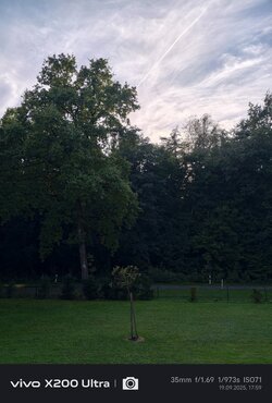 IMG_20250919_175942.jpg