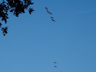 20250919_182852571.JPG