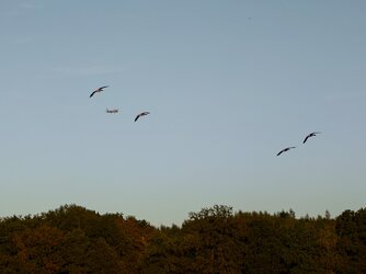 20250919_184220589.JPG