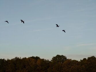 20250919_184217330.JPG