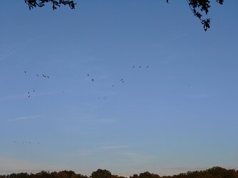 20250919_182830055.JPG