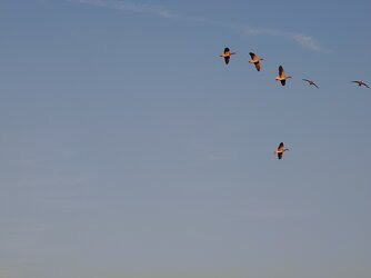 20250919_184619979.JPG