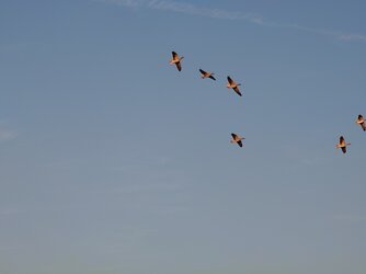 20250919_184619166.JPG