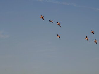20250919_184618980.JPG