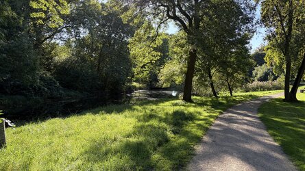 IMG_6182.jpeg