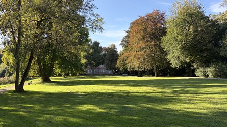 IMG_6179.jpeg