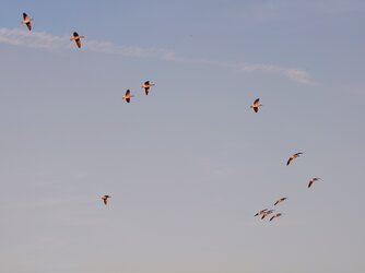 20250919_184829781.JPG