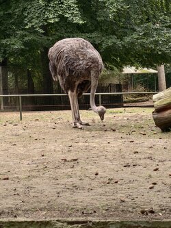 IMG_20250918_124322.jpg