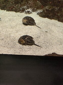 IMG_20250918_125812.jpg