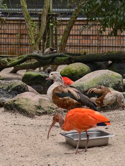 IMG_20250918_145916.jpg