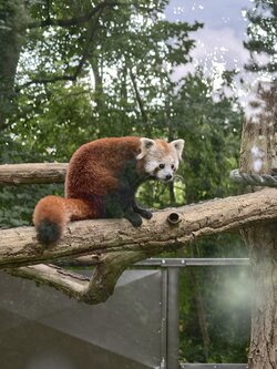 IMG_20250918_143934.jpg