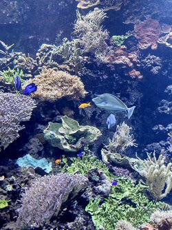 IMG_20250918_131159.jpg