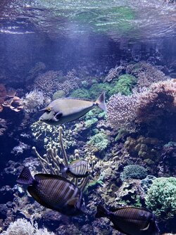 IMG_20250918_131316.jpg