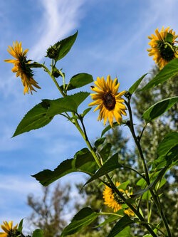 IMG_20250919_143929.jpg