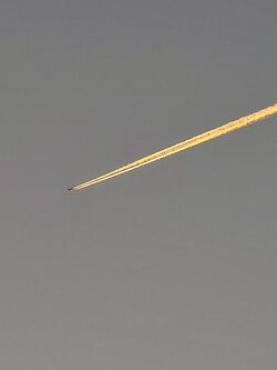 IMG_20250919_194006.jpg