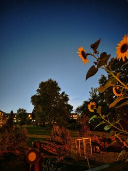 IMG_20250919_215558.jpg
