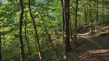 IMG_20250919_182258349_HDR.jpg