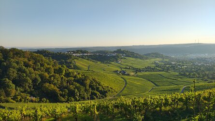 IMG_20250919_183314386_HDR.jpg