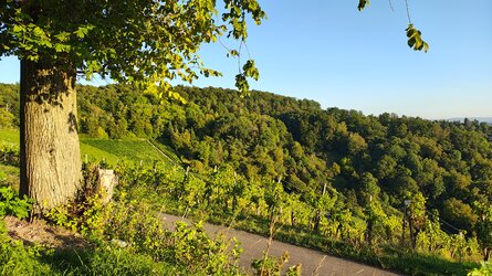 IMG_20250919_183659023_HDR.jpg