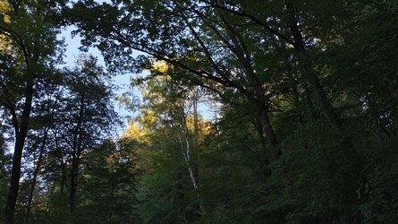 IMG_20250919_184627842_HDR.jpg
