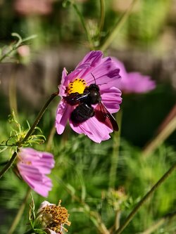 IMG_20250920_104852.jpg