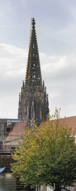 IMG_20250920_165543.jpg