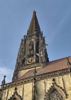 IMG_20250920_170240.jpg