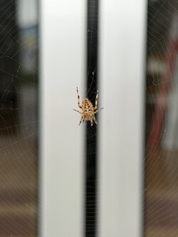 IMG_1944.jpeg IMG_1944.jpeg